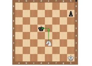 Правила на играта на шах (игри) Правила на играта на шах