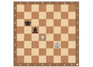 Правила на играта на шах (правила) Правила на играта на шах