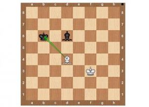 Правила на играта на шах (шахмат) Правила на играта на шах