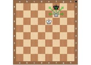 Правилата на играта на шах (вертикално, хоризонтално направление) Правила на играта на шах