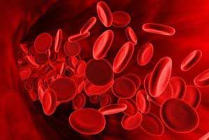 Провеждане на кръв за почистване на народни средства за защита в дома