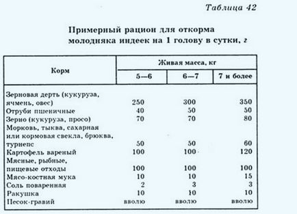 Препоръка от опитни птицевъди и ветеринари от фуражни пуйки