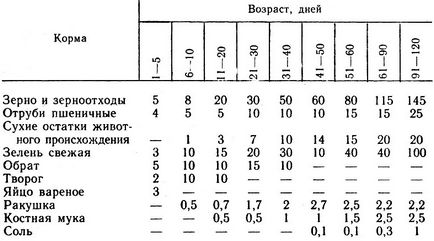 Препоръка от опитни птицевъди и ветеринари от фуражни пуйки