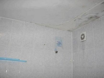 Ремонт на тавана в банята с ръцете си, видео и фото инструкция