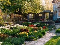 Garden Art, градински дизайн, технология и растения