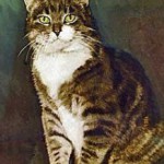 Ядосан котка (ядосан котка) - kototeka - най-интересното нещо за света на котките