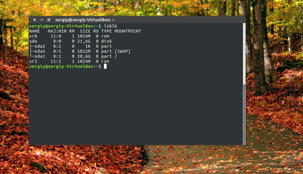Вижте списъка с Linux диск, losst (Linux) Вижте списъка с устройства на Linux, losst