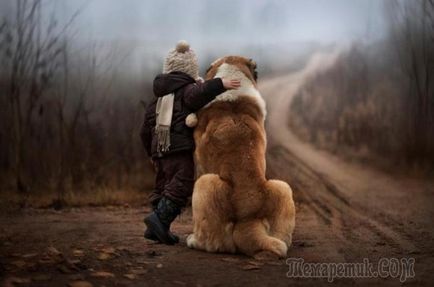 Куче - най-добрият приятел на човека цитира за истинската вярност
