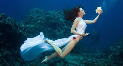 Мечтай мечтата тълкуване подводна мечта какво мечтае под вода