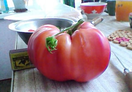 Джайънтс сортове домати