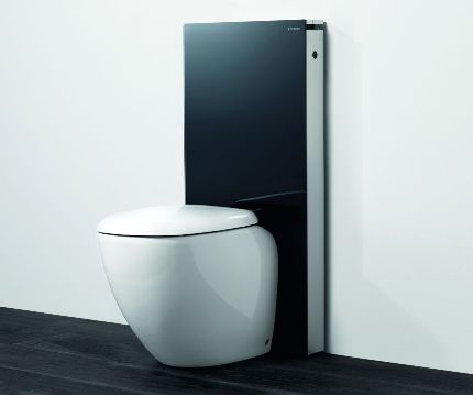Съвети за избор на стенни тоалетни и Ozora видове инсталации