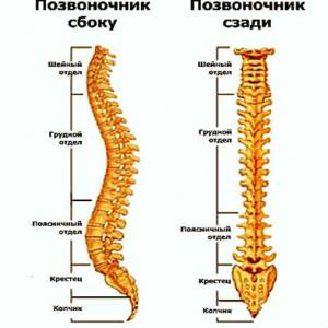 Спинална лечение херния и отстраняване, вида и причините, диагноза