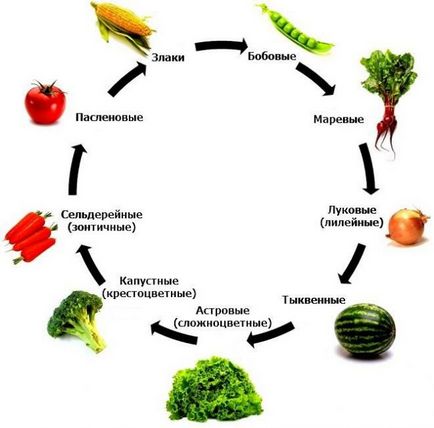 Схема за засаждане зеленчуци за ротация на културите зеленчукова градина, създаване на лятна вила,