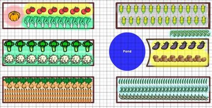 Схема за засаждане зеленчуци за ротация на културите зеленчукова градина, създаване на лятна вила,