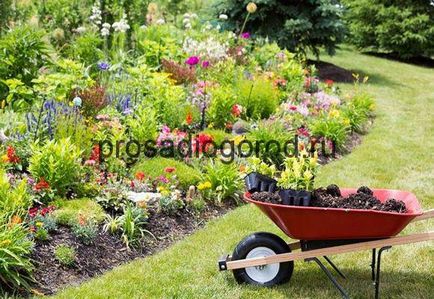 Ръчна количка за градината с неговите собствени ръце инструкции за монтаж, снимки и видео