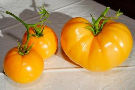сортове домати на описание Райска ябълка със снимки, коментари
