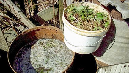 Тор течност инфузия на билки, за да се хранят, компост, ферментация