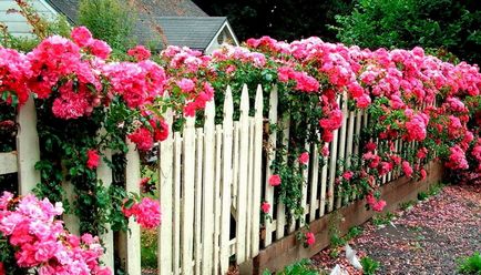 Декорирайте оградата с ръцете си