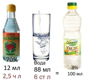 Оцет и правото на размножаване (части вода там) Оцетът като растение правилно