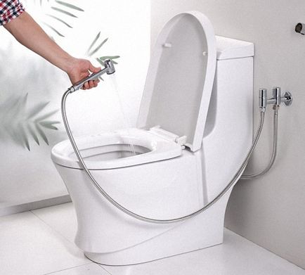 Инсталиране на тоалетна чиния с ръцете си, изграждане на портал