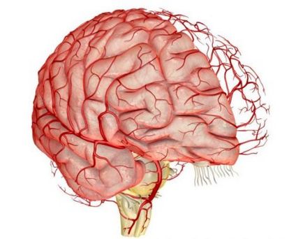 Вазоспазъм на мозъчните съдове - е сериозно заболяване, uflebologa