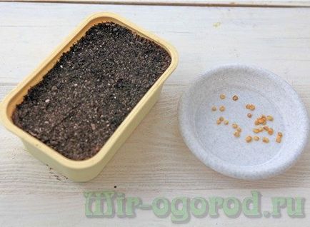 Отглеждане чушки от семена у дома
