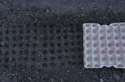 Култивирането в парникови ряпа (ряпа) Отглеждане репички в оранжерия
