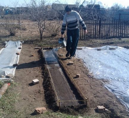 Отглеждане репички в оранжерия кога да засадят и как да се грижим за репички