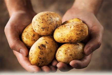 Дали вредни картофи диета под всякаква форма, можете да ядете