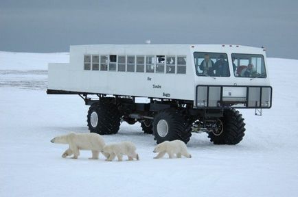 Искате ли да гъделичкане нерви