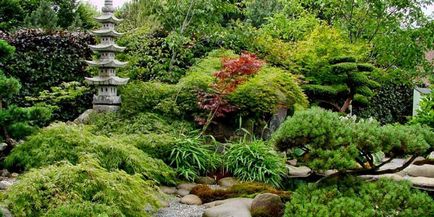 Японска градина - Озеленяване с ръцете си от камъни или растения със снимки