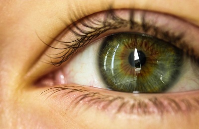 Зелени очи и снимка стойност, човешки характеристики