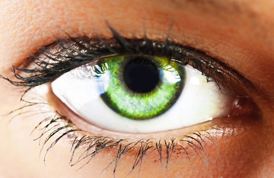 Зелени очи и снимка стойност, човешки характеристики