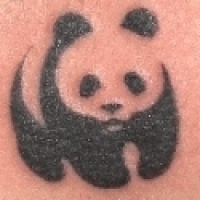 Значение татуировка панда