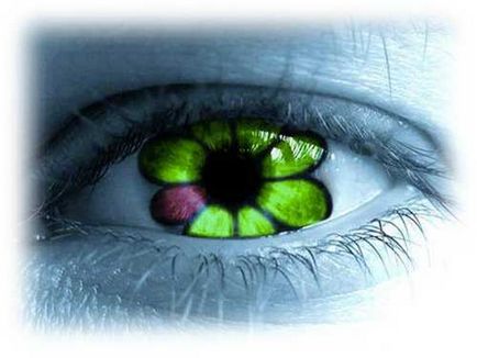 ICQ на компютър - как да я конфигурирате, и как да се използва (ICQ на компютър) ICQ на компютър - как да я конфигурирате, и как да се използва