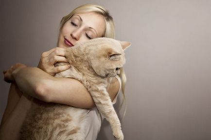 Симптоми на депресия при котки, какво да правя, превенция