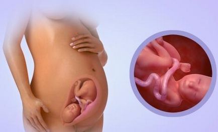 дали детето диша в утробата, бебето в утробата