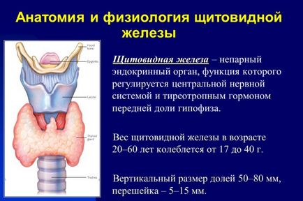 Хормони на щитовидната жлеза симптоми при жените и лечение