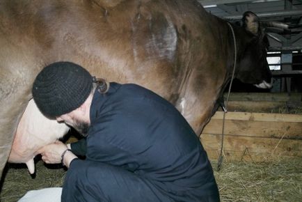 Как се дои крава, и хардуерните методи ръчни