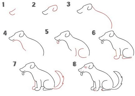 Как да се направи едно куче на етапи