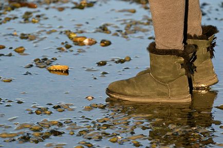 Как да се измие UGG ботуши у дома си в пералнята (UGG) Как да се измие UGG ботуши у дома си в пералнята