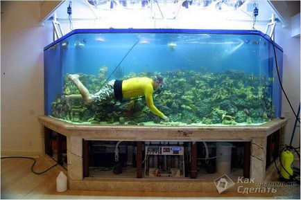 Как да направите аквариум със собствените си ръце - независима продукция