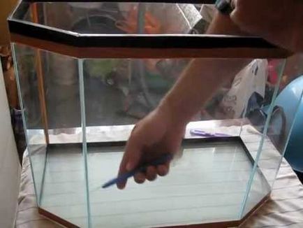 Как да направите аквариум у дома със собствените си ръце