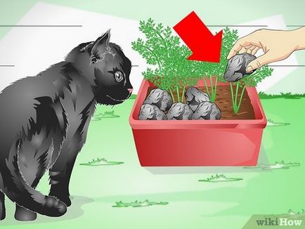 Как да защитим вашите стайни растения от котка