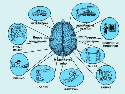 Как да подобрим паметта в дома прости начини