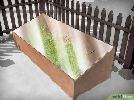 Как да защитим растенията от студ (растения) Как да защитим растенията от студ
