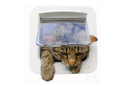 Coto високотехнологични джаджи за най-актуалните котки, котки и котенца
