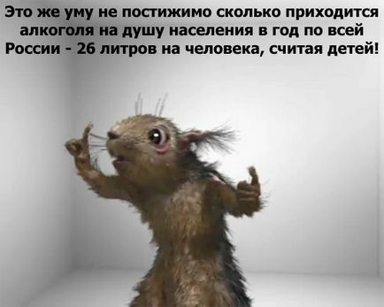 Kudyapliki и ада на катерица съживи социална реклама в България тук даваме залепване реклама!