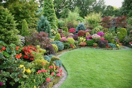 Храсти за градината (35 снимки) декоративни, многогодишни, неизискващ, градина, засаждане на техния