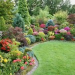 Храсти за градината (35 снимки) декоративни, многогодишни, неизискващ, градина, засаждане на техния